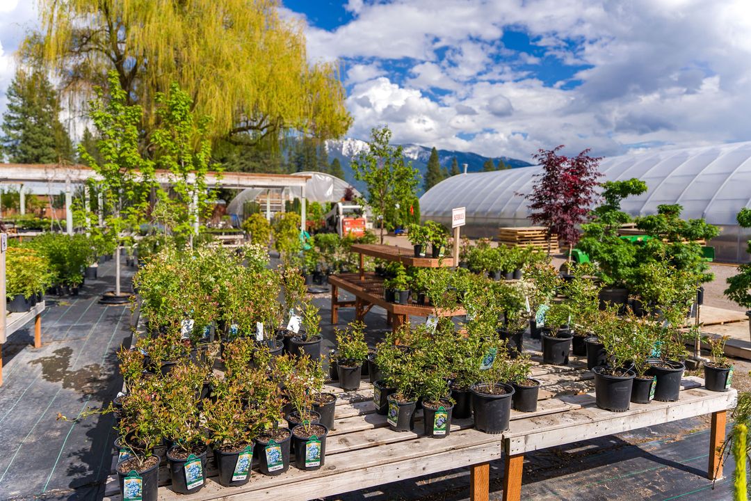 Home - Columbia Nursery & Landscape